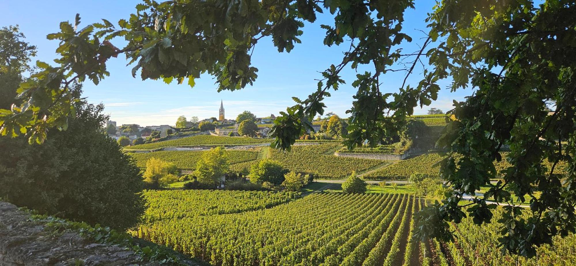Gite Chateau Touzinat - Saint-Émilion Exteriér fotografie